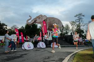 BIB: 
                            <button type="button" onclick="openModal(26529398)" class="btn btn-primary btn-sm float-right btn-popup" data-toggle="modal" data-target=".modal-high-quality">
                        <i class="fas fa-shopping-cart"></i> Add to Cart
                    </button>
                                            <button type="button" onclick="isThisMe(26529398, true)" class="btn btn-success btn-sm float-right btn-popup btn-isme hidden" data-toggle="tooltip" data-placement="bottom" title="นี่คือรูปของคุณใช่ไหม คลิกที่นี่เพื่อเอาเข้าอัลบั้ม">
                        <i class="fas fa-plus"></i> Add to album
                    </button>
                    <button type="button" onclick="isThisMe(26529398, false)" class="btn btn-warning btn-sm float-right btn-popup btn-isnotme hidden">
                        <i class="fas fa-ban"></i> Remove from album
                    </button>